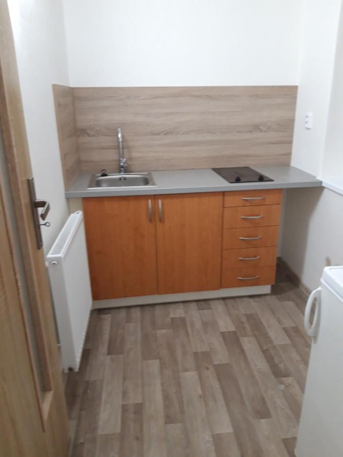 Apartman Plasy エクステリア 写真
